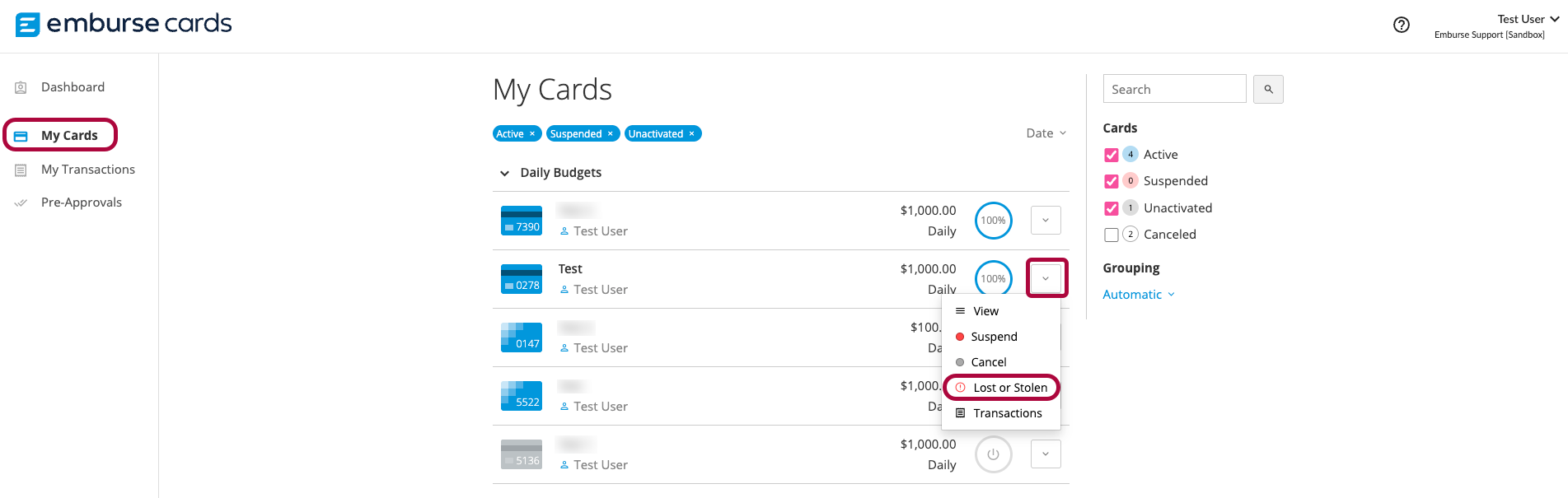 My Cards selected in the left navigation, with the More options menu open for a card. The Lost or Stolen option is highlighted.