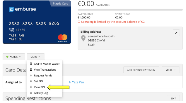 Cards page showing the View PIN option.